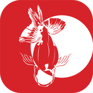 寻鱼直播app安卓直播平台