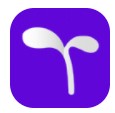 豆芽账app免费版