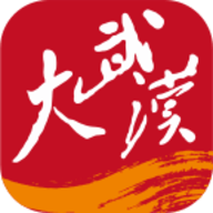 大武汉app安卓版