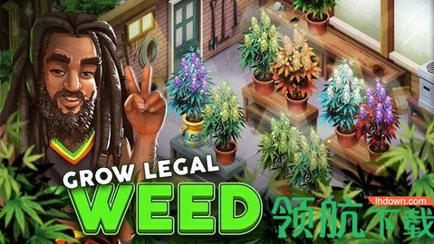植物种植大亨游戏官方正版下载
