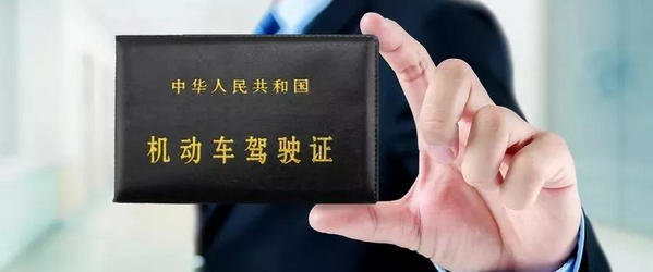 驾驶证电子版app_全国电子驾照通用_手机版驾驶证下载