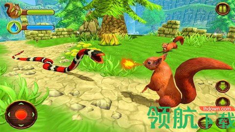 野生松鼠模拟器官方版