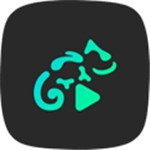Stellio Player永久激活码破解版