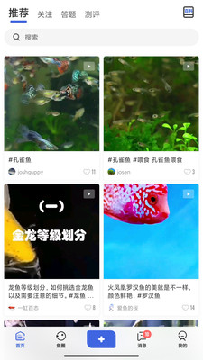 鲲天下官方正式版APP