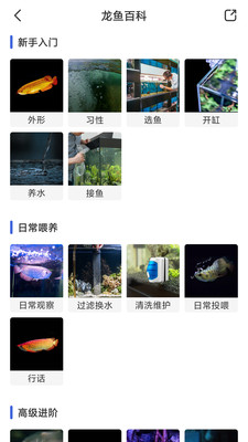 鲲天下官方正式版APP