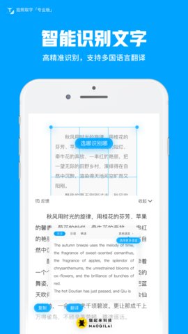 拍照取字app
