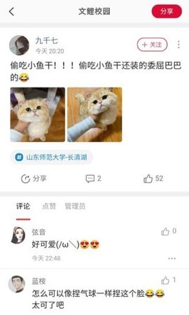 文鲤校园app最新版