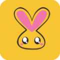 心兔音客APP官方客户端