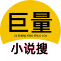 巨量小说搜APP会员破解版