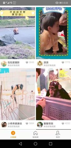 红小狗视频赚钱版APP