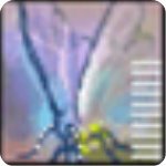 Exif Pilot中文破解版
