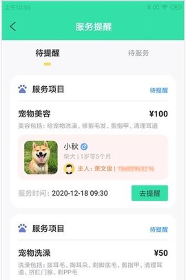 奇飞宠掌馆最新版下载