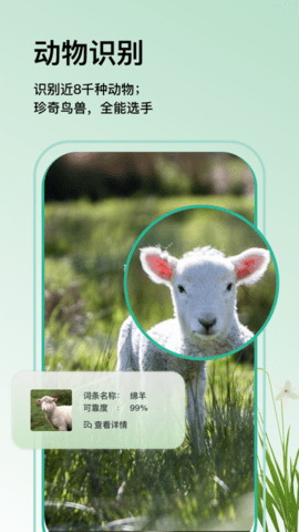 万物识图在线免费版