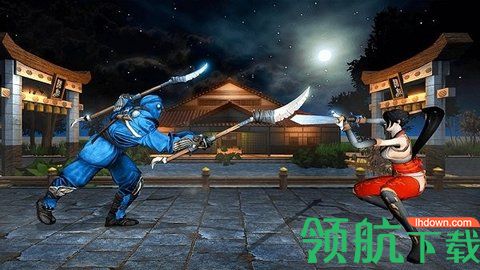 功夫忍者战斗汉化版
