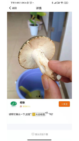菌窝子APP官方客户端