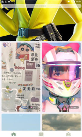 鹦鹉螺壁纸app手机免费版
