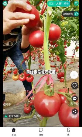 彼方短视频APP最新版