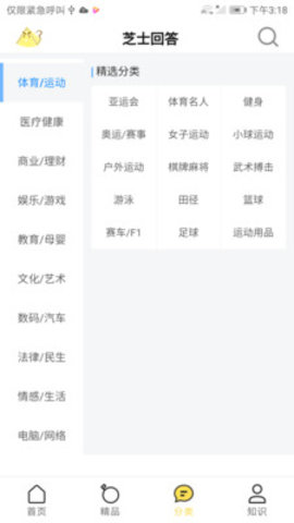 芝士回答APP官方客户端