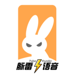 脉雷语音交友平台
