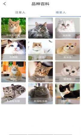 宠物知识全书APP最新版