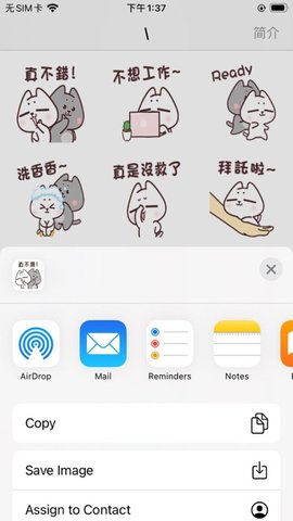 灰灰和白白APP官方最新版