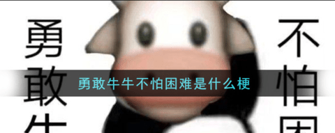 勇敢牛牛不怕困难是什么梗 勇敢牛牛不怕困难表情包怎么做