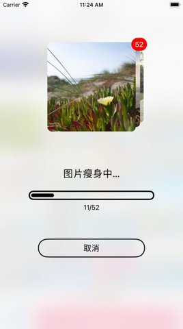相册清理助手APP纯净版