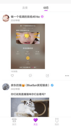 狐聊直播平台APP