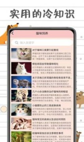 小猫交流器APP专业版