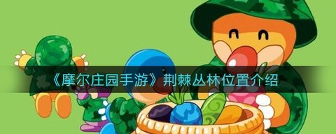 摩尔庄园手游荆棘丛林在哪 荆棘丛林怎么去