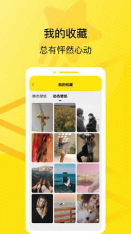 星星壁纸相机官方版下载
