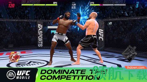 UFC终极格斗冠军2动作游戏