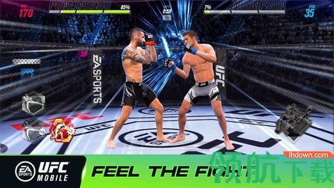 UFC终极格斗冠军2手机版下载