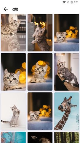 简壁纸App2021最新版