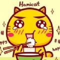 呼啦美食APP正式版