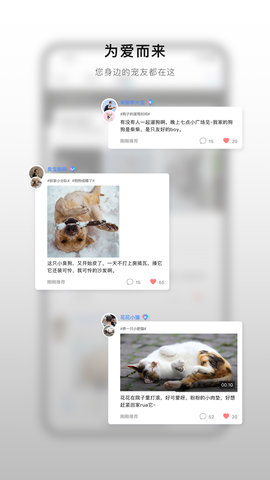小它APP免费版