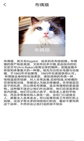 优宠快报APP免费版