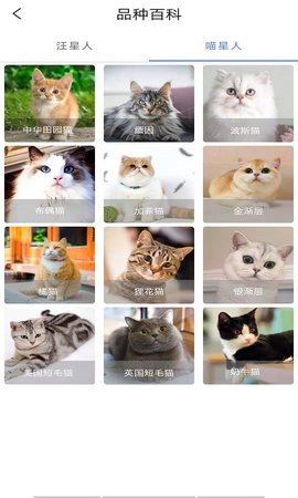 优宠快报APP免费版