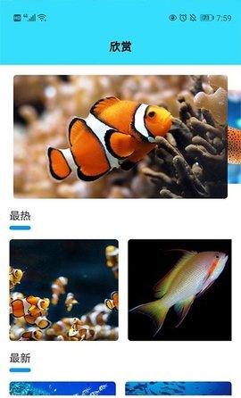 我爱养鱼客户端