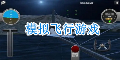 模拟飞行游戏