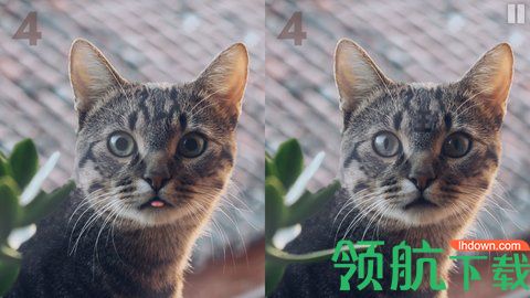 慧眼寻异手机版