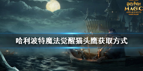 哈利波特魔法觉醒猫头鹰获取方法 猫头鹰功能作用介绍