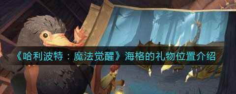 哈利波特魔法觉醒海格的礼物怎么找到 海格的礼物位置介绍