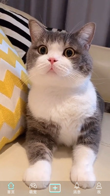 抖宠短视频APP