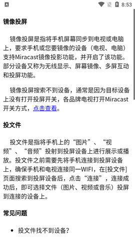 懒人一键投屏高级版