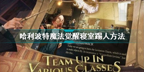 哈利波特魔法觉醒寝室怎么踢人 室友离线怎么让他搬家