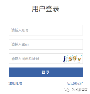 佩琪翻译安卓版
