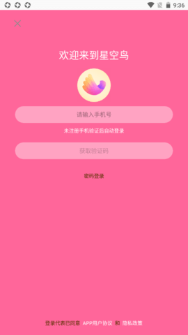 星空鸟