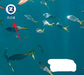 苏证通App电子身份证
