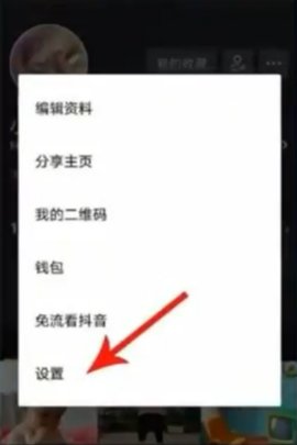 tiktok海外版2023